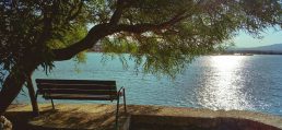 bench daylight lake reduce stress and anxiety